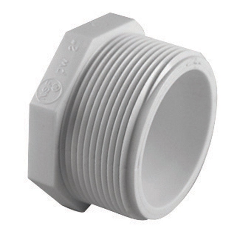 PLUG SCH40 PVC 2' MPT