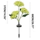 thumbnail image 3 of Hot6sl Ofertas Del Día Las Flores de Hortensias En 3 Cabezas Energía Solar Alimentaria, El Entorno Natural Del Huerto En El Jardín., 3 of 3