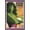 Barnwood Framed Version, variant on Marvel Comics - She Hulk Card Wall Poster, 22.375" x 34"