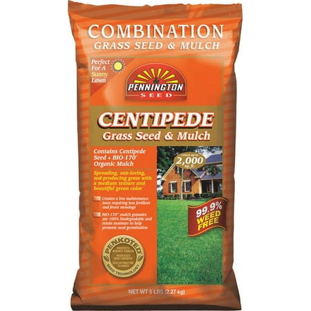 Pennington Grass Seed with Mulch Centipede, 5 lbs
