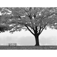 thumbnail image 2 of Deiter, Lori 32x25 White Modern Wood Framed Museum Art Print Titled - The Empty Table, 2 of 4