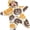Beige 1, variant on Mini Halloween Costumes Starfish Onesie, Fleece Romper Halloween Costumes, Adorable Starfish Outfit, Fleece Hooded Romper for First Halloween Photos