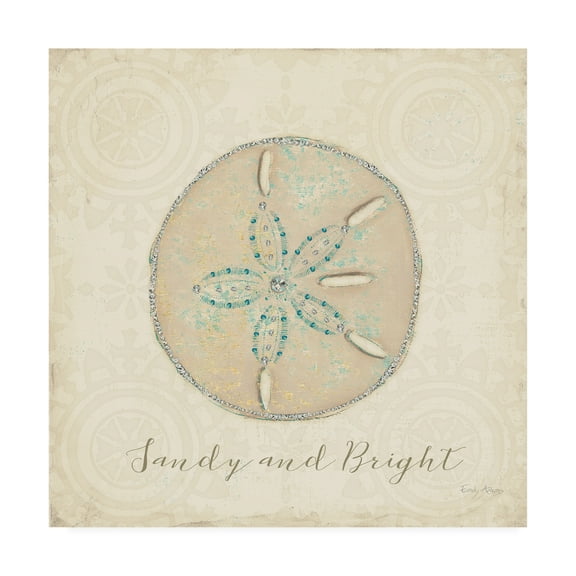 Trademark Fine Art 'Beach Treasures IV Christmas' Canvas Art by Emily Adams