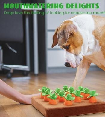 Nocciola 12 pcs Carrot Field Dog Squeaky Toys with Food Dispensing Carrot Farm, Dog Enrichment Toys for Hide and Seek, Puzzle Toys for Small and Medium Dogs, Play and Treat Set Fathersdaygift