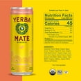 thumbnail image 2 of Guayakí Yerba Mate, Organic Sparkling Energy Drink Alternative, Grapefruit Ginger, 80mg Natural Plant Based Caffeine, Smooth Energy & Focus, Carbonated, 12 Oz (Pack of 12), 2 of 5