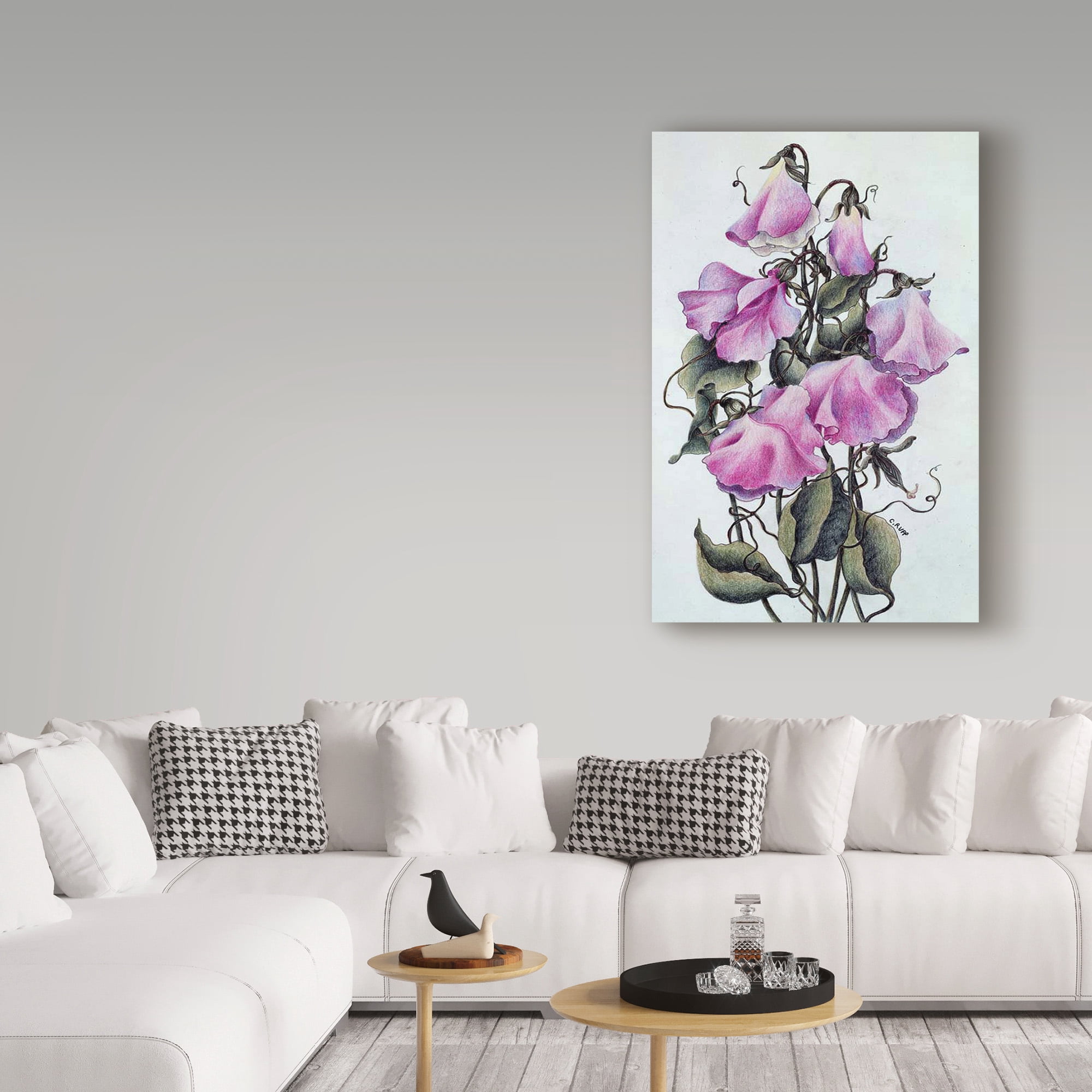 Trademark Fine Art 'Pink Sweet Pea' Canvas Art by Carol J Rupp