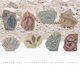 thumbnail image 5 of de excavación divertido para , de ciencia, juguetes para , niñas, en edad preescolar Paleontología Sunnimix Juguetes de excavación, 5 of 8
