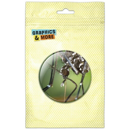 

Asian Tiger Mosquito Bug Refrigerator Button Magnet