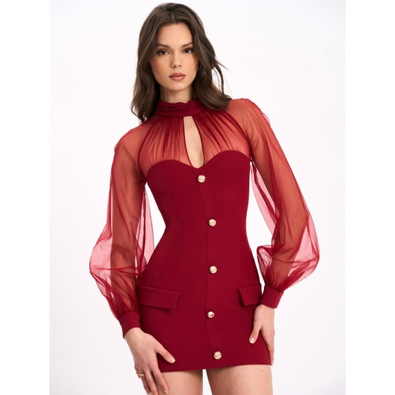 Tabitha Burgundy Mesh Lantern Sleeve Mini Dress