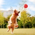 thumbnail image 4 of Pelotas Grandes para Mascotas LISAPRO Azul Rojo Resistente a Mordeduras, 4 of 7