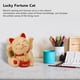 thumbnail image 3 of Maneki Neko Gato Saludando, Brazo de Ángulo Eléctrico, Gato Amuleto de la Suerte, Linda Figura decorativa de Gato de la Suerte para escritorio, Accesorios para El Hogar,, 3 of 7