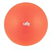 Cathe Resistance Body Balls 55 Cm