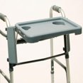 thumbnail image 1 of WALKER TRAY LUMEX, 1 of 1