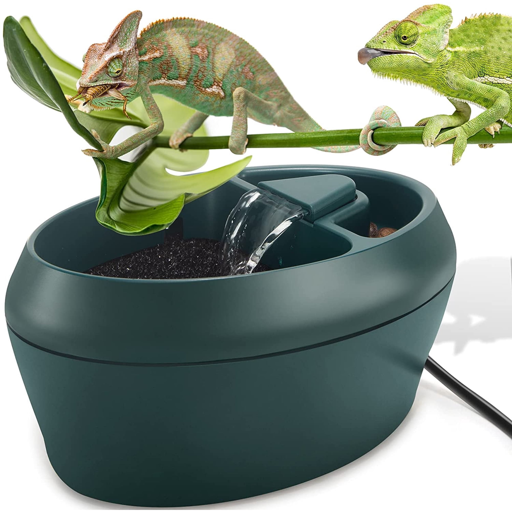 NEPTONION Reptile Chameleon Cantina with Snacks Trough, Drinking Fountain Water Dripper for Amphibians Insects Lizard Turtle Snake Spider Frog Gecko, Comes with Two Pumps ( One for Replacement )