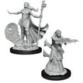 thumbnail image 4 of Figura miniatura WizKids D&D Nolzurs Marvelous Wave 3 Paladin, 4 of 5