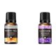 thumbnail image 1 of Aceites Difusores Aromaterapia 10ml para Humidificadores () Naranja, 1 of 9