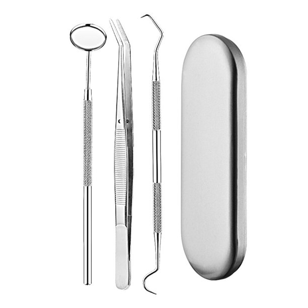 Dental Care Kit Plaque Removal Tool Dentist Scaler Stainless Steel