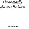 thumbnail image 3 of CafePress - The Turtles Run The House - Women's Nightshirt, 3 of 4