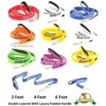 thumbnail image 2 of wqlpp-NO Chiens Couleur Orange Codé Nylon 6 Pieds Long Poignée Rembourrée de Luxe Laisse pour Chien (Pas Bon avec d'Autres Chiens) Prévient les Accidents en Prévenant les Autres de Votre Chien à l'Avant, 2 of 4