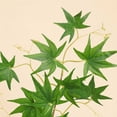 thumbnail image 6 of Artificial Maple Leaves Branches, Fake Fall Leaves Stems Maple Leaves Shrubs Autumn Leaf Bushes Faux Silk Foliage for Home Kitchen Thanksgiving Table Centerpieces Festival Decorations, 6 of 6