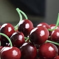 thumbnail image 2 of Cerezas Artificiales Sincero Modelo Fruta Realista Decoración Fiesta Cocina Paquete de 25, 2 of 5