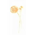 thumbnail image 2 of Vess, June Erica 9x14 Gold Ornate Wood Framed with Double Matting Museum Art Print Titled - Bouquet Blush IV, 2 of 4