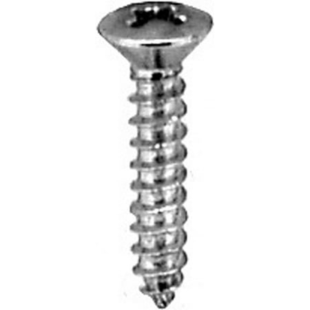 

100 #6 X 3/4 Phillips Oval Head Tapping Screws Chrome