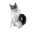 thumbnail image 1 of Simulación gato modelo Animal estatuas en miniatura Mini modelos, niños Playset juguetes animales regalos de Navidad, 1 of 8