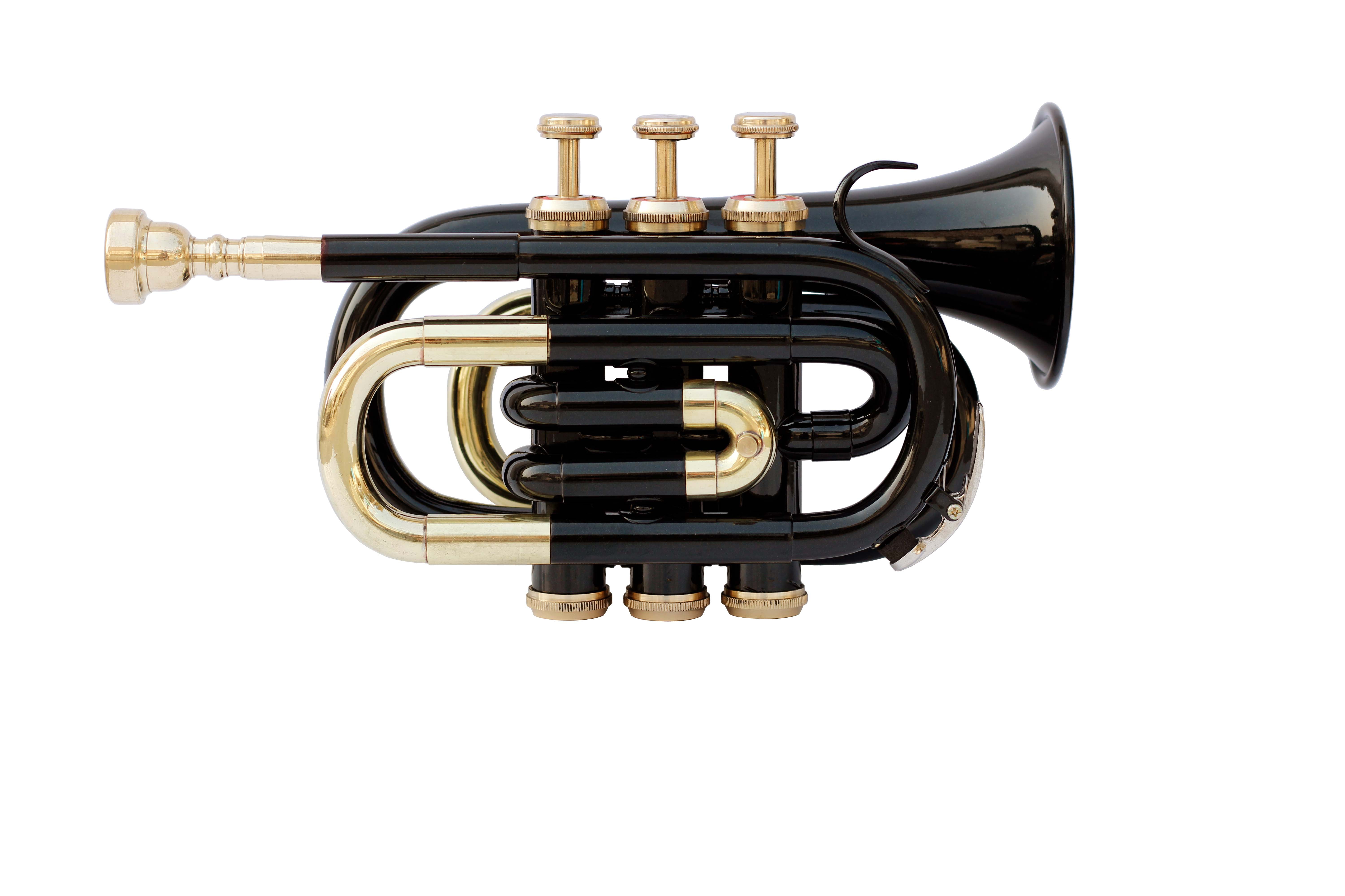Pocket Trumpet Black Color with Hard Case