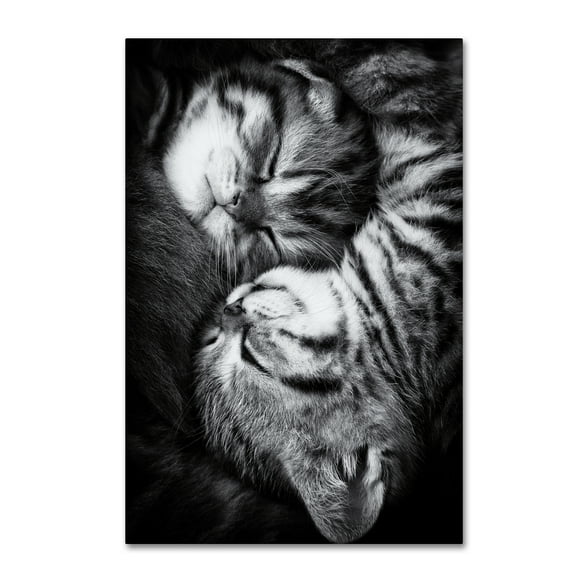 Trademark Fine Art 'Yin And Yang' Canvas Art by Andrea Jancova