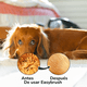 thumbnail image 5 of Cepillo de baño para mascotas, baño para gatos, cepillo de baño especial, cepillo de masaje para perros, can vaporizador, 5 of 6