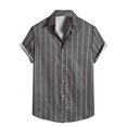 thumbnail image 1 of Camisa casual de manga corta con solapa de botón y rayas delgadas para hombre Pompotops  oipoqjl43498, 1 of 9