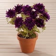 thumbnail image 2 of Artificial Mum Bush by OakRidge Silk Floral Décor, 2 of 5