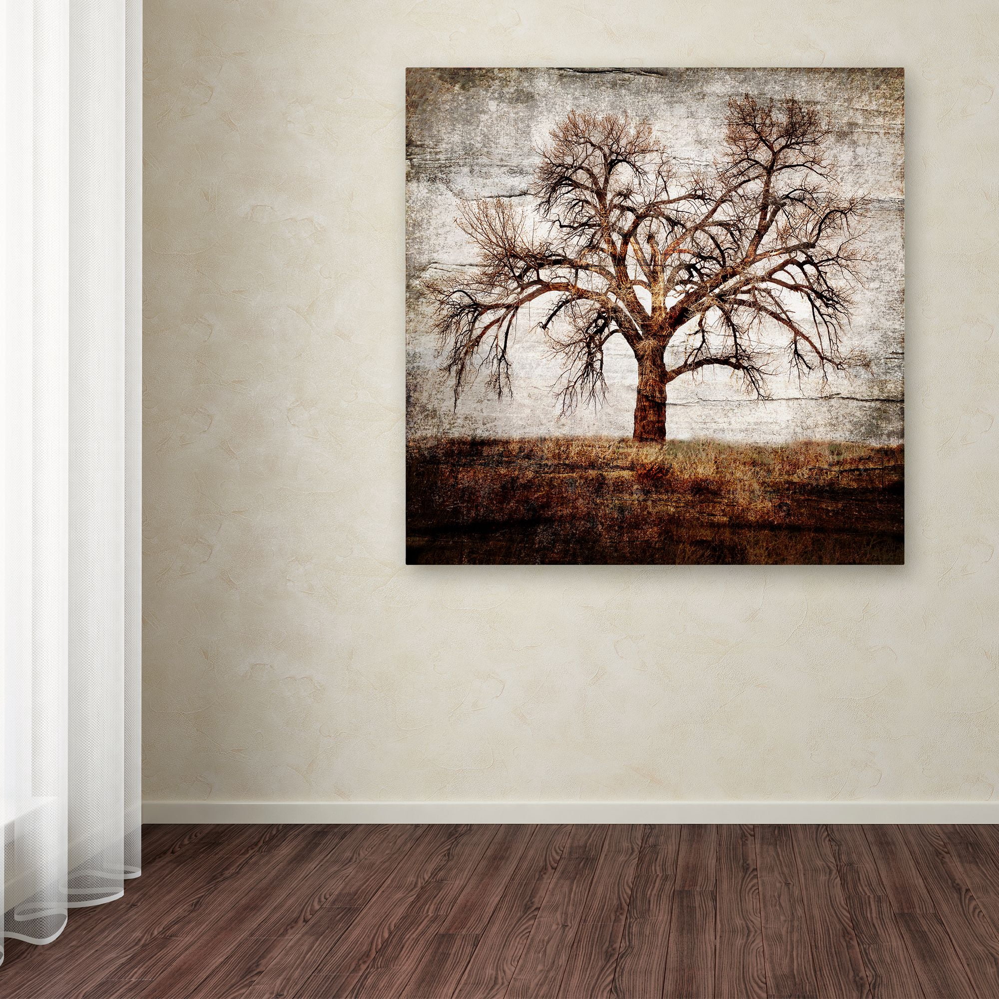 Trademark Fine Art 'Cottonwood Tree Part 01' Canvas Art by LightBoxJournal
