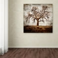 thumbnail image 3 of Trademark Fine Art 'Cottonwood Tree Part 01' Canvas Art by LightBoxJournal, 3 of 3