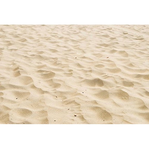 Real Beach Sand Edible Icing Image for Cake or Cupcake Cookie Topper