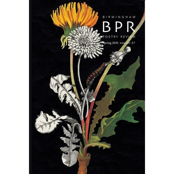 2020 Birmingham Poetry Review, Book 47, (Paperback)