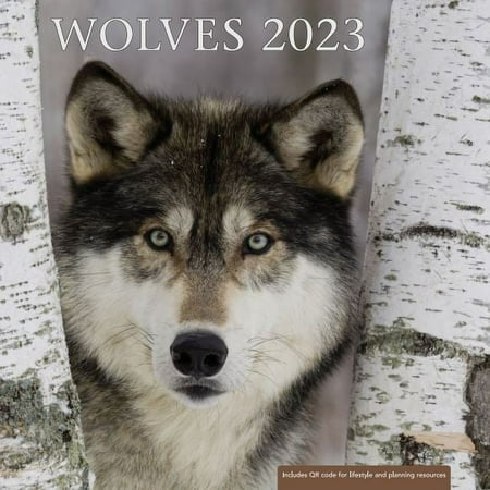 2023- 12 Month Calendar- Wolves 12x12 Hanging Wall Calendar by DaySpring