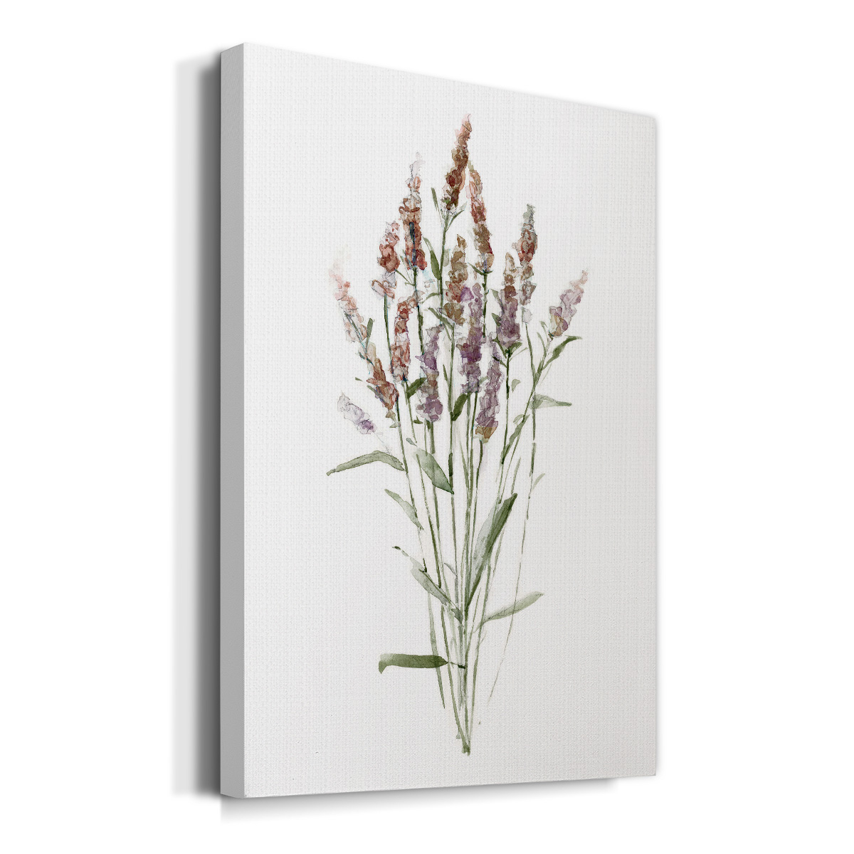 Dainty Botanical III Premium Gallery Wrapped Canvas - Ready to Hang