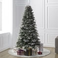 thumbnail image 2 of Vickerman 692691 - 14' x 73" Frosted Slim Douglas Fir Unlit Christmas Tree (K224595), 2 of 11