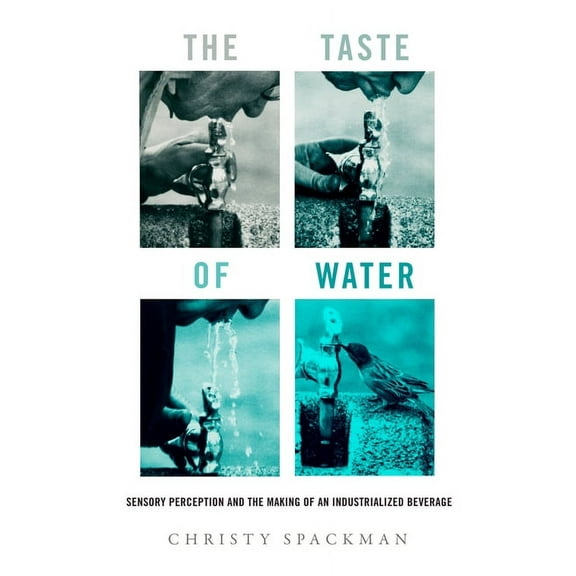 Critical Environments: Nature, Science,  The Taste of Water: Sensory Perception and the Making of an Industrialized Beverage Volume 15, (Paperback)