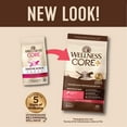 thumbnail image 3 of Wellness CORE+ Digestive Health Salmon & Rice Dry Cat Food, 11 Pound Bag, 3 of 8