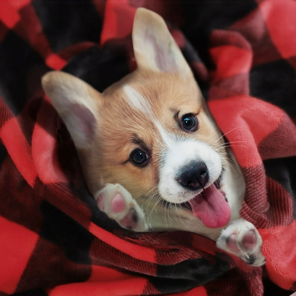 PiccoCasa Decorative Plaid Flannel Fleece Blanket, Red and Black Pet-30"*40"
