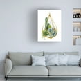 thumbnail image 3 of Grace Popp 'Wild Terrarium IV' Canvas Art, 3 of 3