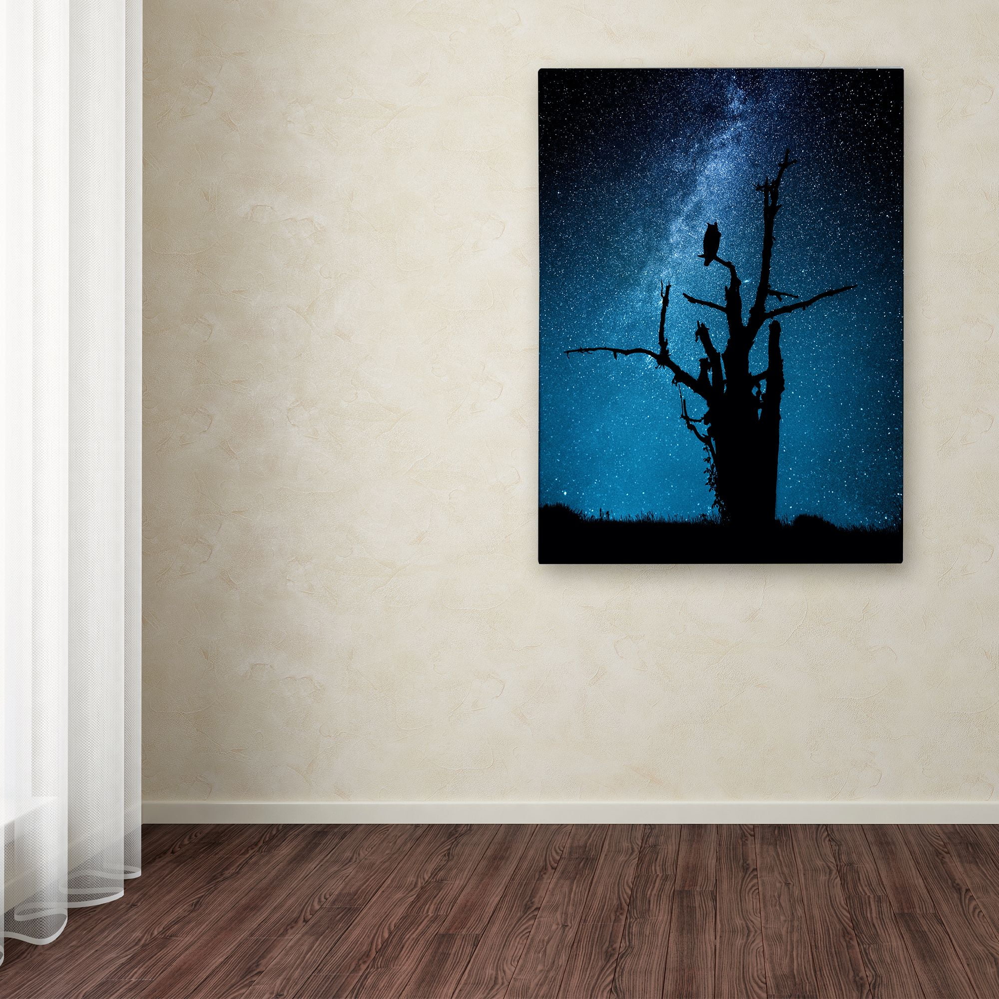 Trademark Fine Art 'Alone In The Dark' Canvas Art by Manu Allicot