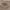 Mocha Light, variant on 60" Wide Rayon Spandex Jersey Knit Fabric by the Yard - 4-Way Stretch 220GSM - Anti-Wrinkle, Breathable - Apparel,  Accessories, Maternity, Decorations & Crafts- Dusty Pink Deep