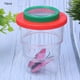 thumbnail image 4 of Juego de 10 piezas para observar insectos: cajas con lupa para aprender ciencias y divertirse en la niñez, 4 of 8