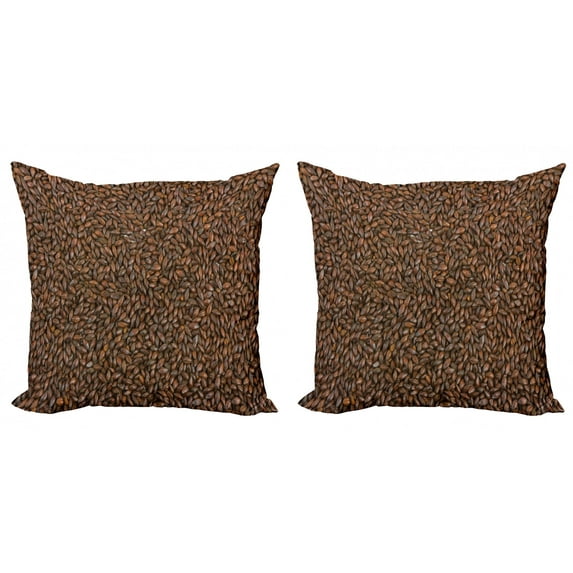 Chocolate Throw Pillow Cushion Cover Pack of 2, Chocolate Malt Barley an Ingredient for Beer Close-up Agriculture Photograph Print, Zippered Double-Side Digital Print, 4 Sizes, Brown, by Ambesonne