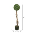 thumbnail image 2 of Vickerman 39" Artificial Green Boxwood Topiary., 2 of 3