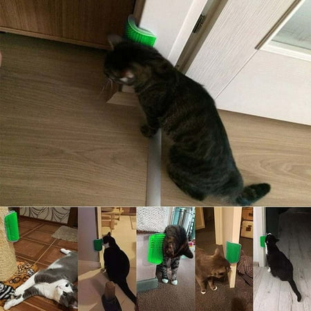 - Pet Brush Massage Perfect Tool for Cats with Long and Short Fur, Cat Self Groomer with Catnip